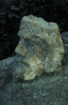 Gros plan sur un personnage de Rothéneuf, sculpté dans la roche. © Philip Plisson / Plisson La Trinité / AA01415 - Nos reportages photos - Géomorphie