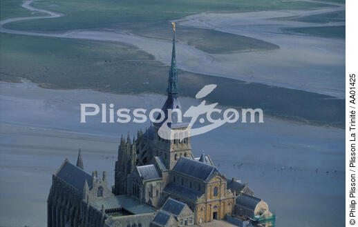 Gros plan du Mont-Saint-Michel. - © Philip Plisson / Plisson La Trinité / AA01425 - Nos reportages photos - Manche [La]