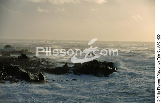 Tempête sur Saint-Guénolé. - © Philip Plisson / Plisson La Trinité / AA01439 - Photo Galleries - Wild coast