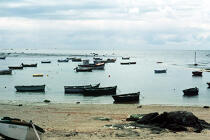Bateaux de pêche à Saint-Guénolé. © Philip Plisson / Plisson La Trinité / AA01441 - Photo Galleries - Low tide