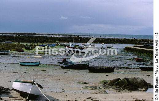 Bateaux de pêche au mouillage à Saint-Guénolé. - © Philip Plisson / Plisson La Trinité / AA01442 - Photo Galleries - Low tide