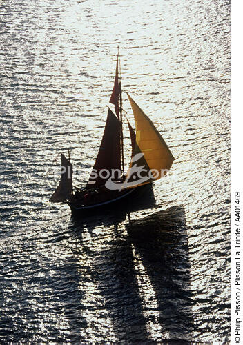 Le Rose-Anne, pilote de Bristol. - © Philip Plisson / Plisson La Trinité / AA01469 - Nos reportages photos - Vieux gréement
