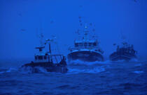 Retour de pêche. © Philip Plisson / Plisson La Trinité / AA01472 - Nos reportages photos - Finistère