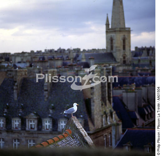 Toits et cheminées de Saint-Malo. - © Philip Plisson / Plisson La Trinité / AA01504 - Nos reportages photos - Clocher