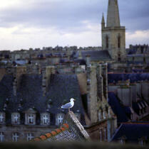 Toits et cheminées de Saint-Malo. © Philip Plisson / Plisson La Trinité / AA01504 - Photo Galleries - Church steeple