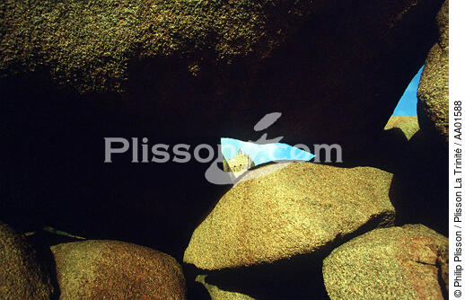 Dans les rochers près du Méan-Ruz. - © Philip Plisson / Plisson La Trinité / AA01588 - Photo Galleries - Town [22]