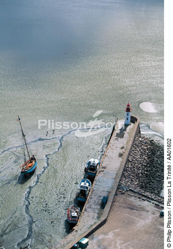 Port d'Erquy. - © Philip Plisson / Plisson La Trinité / AA01602 - Nos reportages photos - Côtes d'Armor