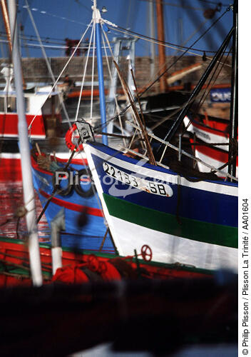 Bateau de pêche à Erquy. - © Philip Plisson / Plisson La Trinité / AA01604 - Photo Galleries - Maritime activity
