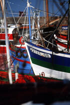 Bateau de pêche à Erquy. © Philip Plisson / Plisson La Trinité / AA01604 - Photo Galleries - Maritime activity