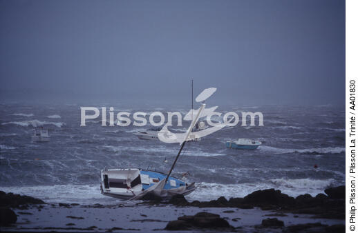 Stranding during the 1996 storm. - © Philip Plisson / Plisson La Trinité / AA01830 - Photo Galleries - Rough weather