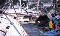 les dégats de la tempête de 1996. © Philip Plisson / Plisson La Trinité / AA01831 - Nos reportages photos - Fortune de mer