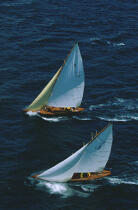 Aria et Bamba en bord-à-bord. © Philip Plisson / Plisson La Trinité / AA02014 - Nos reportages photos - Vertical