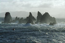 Proche du phare Cabo Ortegal, pêche pendant la tempête. © Philip Plisson / Plisson La Trinité / AA02109 - Photo Galleries - Galicia