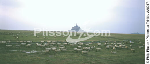 Moutons devant le Mont-Saint-Michel. - © Philip Plisson / Plisson La Trinité / AA02171 - Photo Galleries - Horizontal panoramic