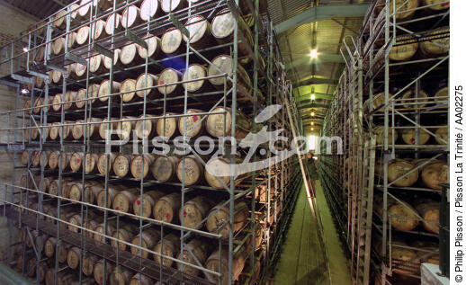 La distillerie Busmill. - © Philip Plisson / Plisson La Trinité / AA02275 - Nos reportages photos - Artisanat
