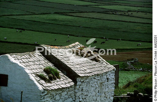 Maisons typiques dans le Mizen Head (Irlande). - © Philip Plisson / Plisson La Trinité / AA02331 - Nos reportages photos - Pays étranger