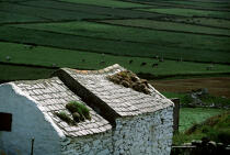 Maisons typiques dans le Mizen Head (Irlande). © Philip Plisson / Plisson La Trinité / AA02331 - Nos reportages photos - Champ