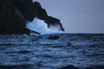 Vague sur rocher. © Philip Plisson / Plisson La Trinité / AA02347 - Photo Galleries - Ireland, the green island