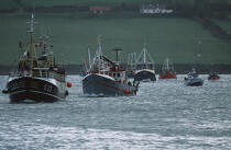 La flotte de pêche se retrouve dans Dingle Harbour pour la bénédiction de la mer. © Philip Plisson / Plisson La Trinité / AA02415 - Nos reportages photos - Irlande