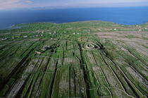 Inishmore, une des îles d'Aran © Philip Plisson / Plisson La Trinité / AA02445 - Nos reportages photos - Irlande