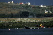 Pêcheur à Kilkieran Bay. © Philip Plisson / Plisson La Trinité / AA02494 - Nos reportages photos - Irlande, l'île verte