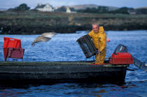 Pêcheur remontant ses casiers. © Philip Plisson / Plisson La Trinité / AA02495 - Photo Galleries - Fishing equipment
