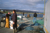 Pêcheur en Irlande. © Philip Plisson / Plisson La Trinité / AA02519 - Photo Galleries - Fish crate