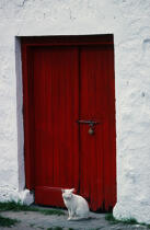 Chat devant une porte. © Philip Plisson / Plisson La Trinité / AA02675 - Photo Galleries - Door
