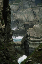 Bull Rock à Mizen Head. © Philip Plisson / Plisson La Trinité / AA02772 - Photo Galleries - Ireland, the green island