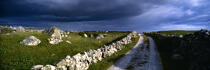 Route irlandaise. © Philip Plisson / Plisson La Trinité / AA02778 - Nos reportages photos - Irlande, l'île verte