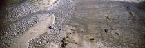 Barques à marée basse dans les sillages du Men Du (56) © Philip Plisson / Plisson La Trinité / AA02791 - Nos reportages photos - Marée basse
