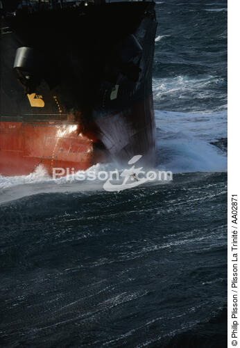 Un dauphin pilote. - © Philip Plisson / Plisson La Trinité / AA02871 - Nos reportages photos - Dauphin