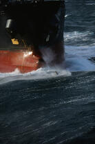 Un dauphin pilote. © Philip Plisson / Plisson La Trinité / AA02871 - Nos reportages photos - Transport maritime