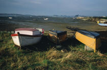 Plates au sec sur l'ile d'Yeu © Philip Plisson / Plisson La Trinité / AA02982 - Photo Galleries - Fishing boat