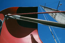 Contre plongée sous spi © Philip Plisson / Plisson La Trinité / AA03030 - Photo Galleries - Masts
