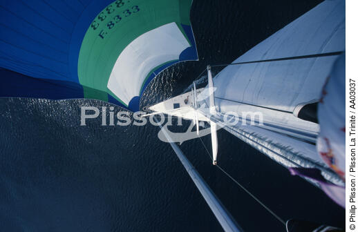 En haut du mat - © Philip Plisson / Plisson La Trinité / AA03037 - Nos reportages photos - Gréement
