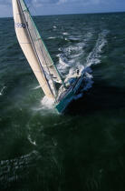 Groupe LG pendant le Vendée Globe © Philip Plisson / Plisson La Trinité / AA03060 - Photo Galleries - Maxi-monohull Racing Yacht