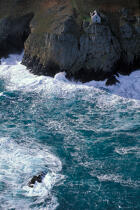 Ouessant, la pointe de Bac'haol © Philip Plisson / Plisson La Trinité / AA03093 - Photo Galleries - Wild coast