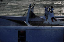 Manoeuvre à bord du catamaran Code One © Philip Plisson / Plisson La Trinité / AA03101 - Nos reportages photos - Course