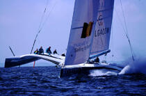 Belgacom © Guillaume Plisson / Plisson La Trinité / AA03172 - Photo Galleries - Ocean racing trimaran