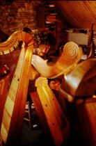 Luthier © Philip Plisson / Plisson La Trinité / AA03208 - Photo Galleries - Harp