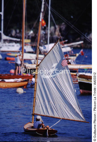 Catboat américain - © Guillaume Plisson / Plisson La Trinité / AA03312 - Nos reportages photos - Les grands rassemblements de Brest