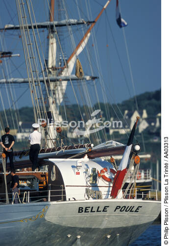 La Belle Poule au port de Douarnenez - © Philip Plisson / Plisson La Trinité / AA03313 - Nos reportages photos - Brest 2000