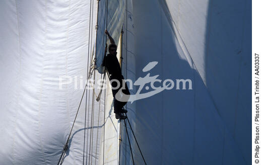 Equipier dans la voilure - © Philip Plisson / Plisson La Trinité / AA03337 - Photo Galleries - The major maritime celebrations in Brest