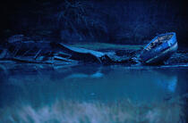 Cimetière à bateaux du Bono. © Philip Plisson / Plisson La Trinité / AA03493 - Photo Galleries - Auray [The River of]