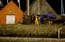 Ostreiculteurs. © Philip Plisson / Plisson La Trinité / AA03530 - Photo Galleries - Oyster Farming