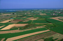 Vue aérienne des champs à l'ile de Batz. © Philip Plisson / Plisson La Trinité / AA03572 - Nos reportages photos - Batz