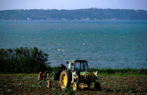 Agriculteurs à Batz. © Philip Plisson / Plisson La Trinité / AA03573 - Nos reportages photos - Batz