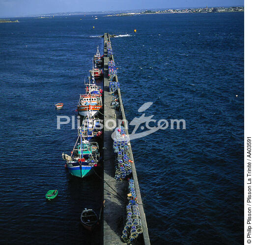 Bateaux de pêche au port. - © Philip Plisson / Plisson La Trinité / AA03591 - Nos reportages photos - Format carré
