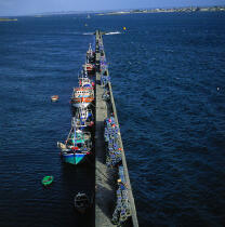 Bateaux de pêche au port. © Philip Plisson / Plisson La Trinité / AA03591 - Photo Galleries - Square format